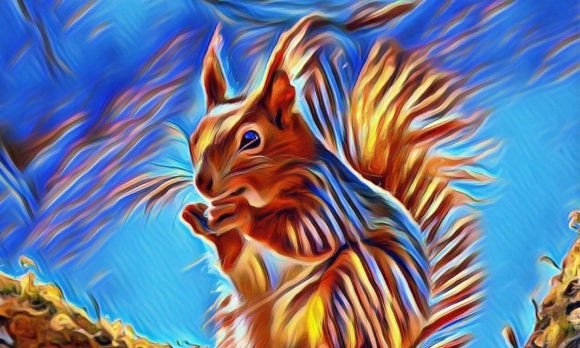 Download Squirrel Premium Digital Paper VOL-1 - Digital Collection
